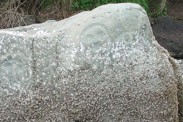 Petroglyphs visible on Haleets Rock.
