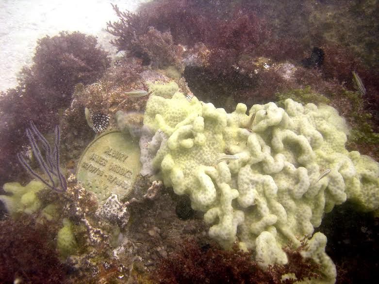 The memorial reef of James Albury in Sarasota, Florida.