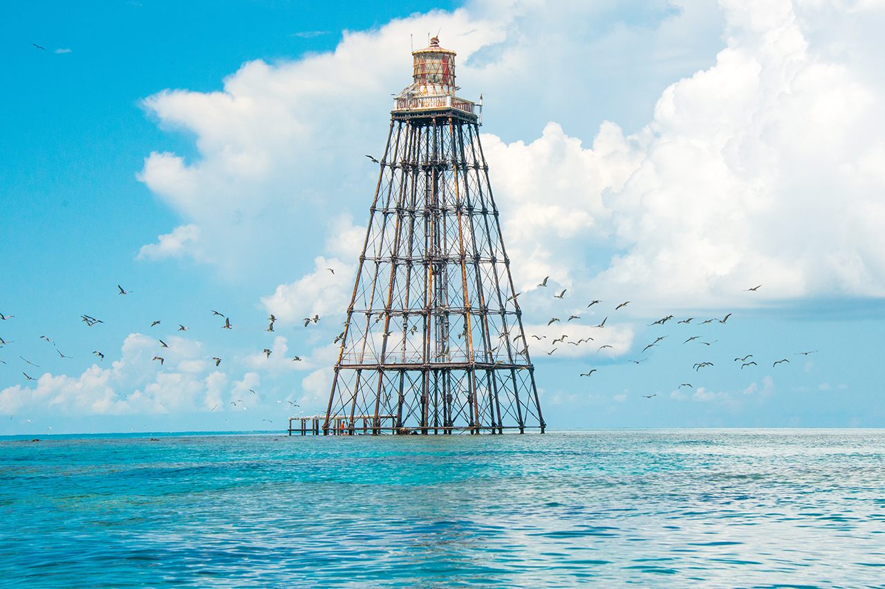 Step right up: Sand Key lighthouse is being auctioned off to the highest bidder.