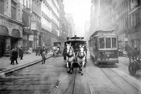 The First Global Urban Planning Conference Was Mostly About Manure