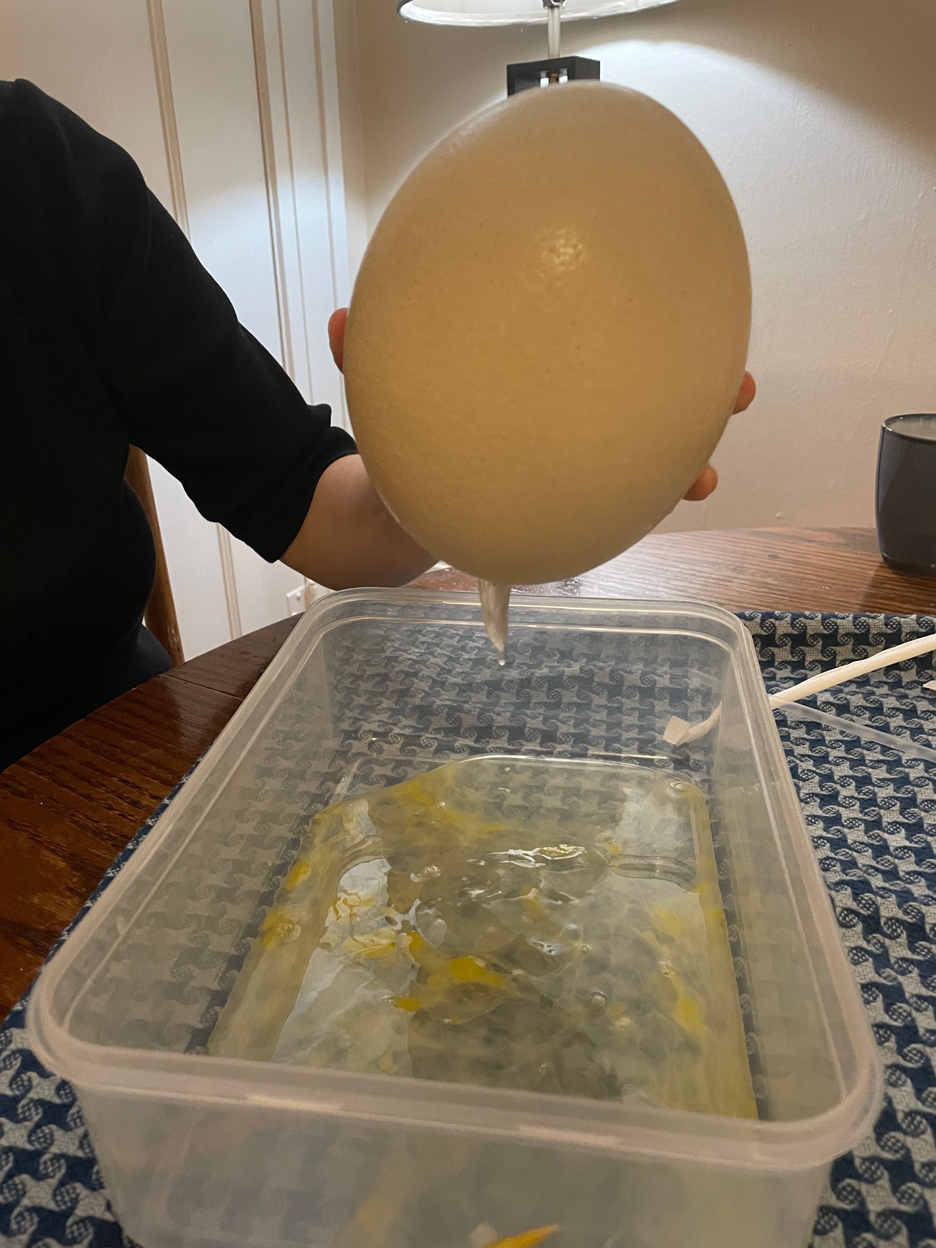 Key Ingredient: Ostrich egg - Chicago Reader