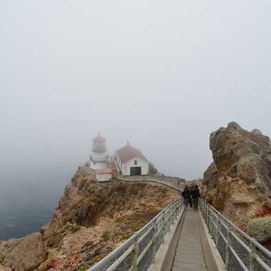 A thick fog engulfs the Point Reyes Lighthouse.