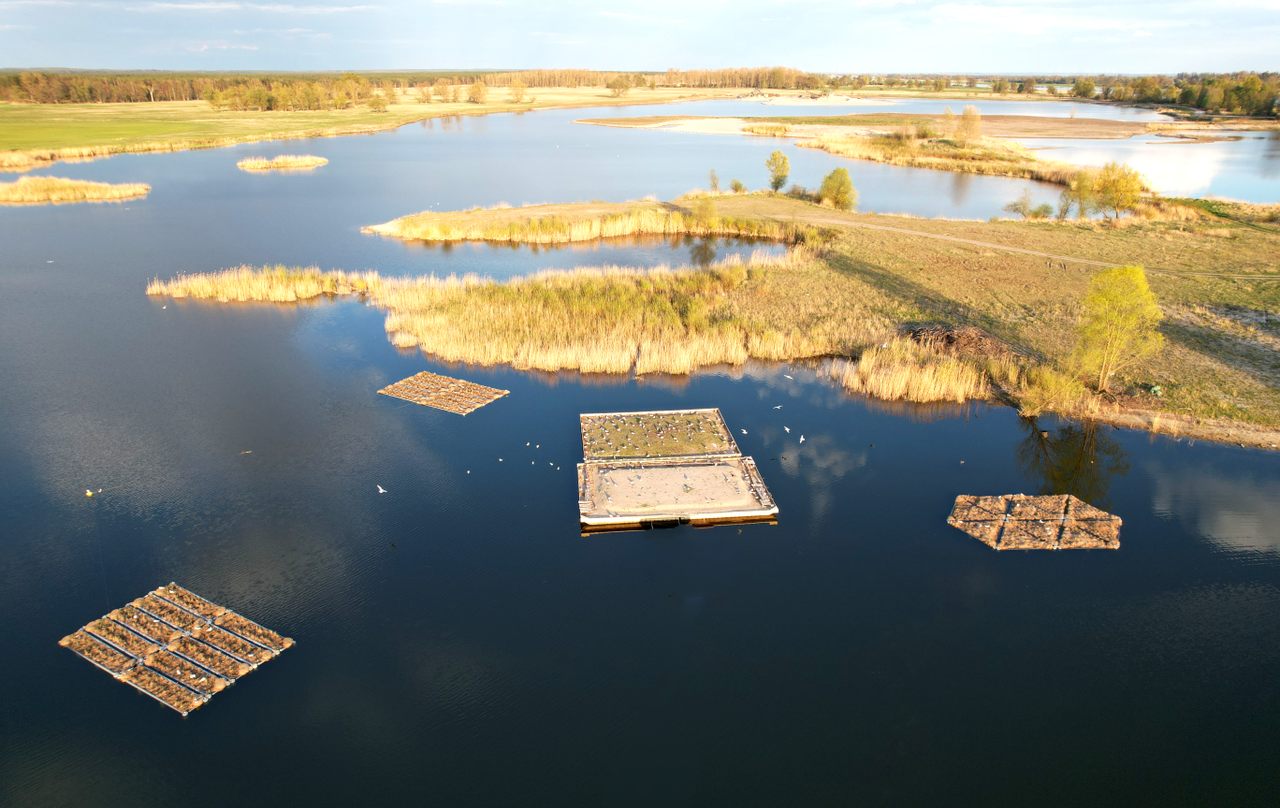 When invasive predators wreaked havoc on birdlife along Poland's Oder River, one man took a novel approach: building artificial islands that act like floating forts.