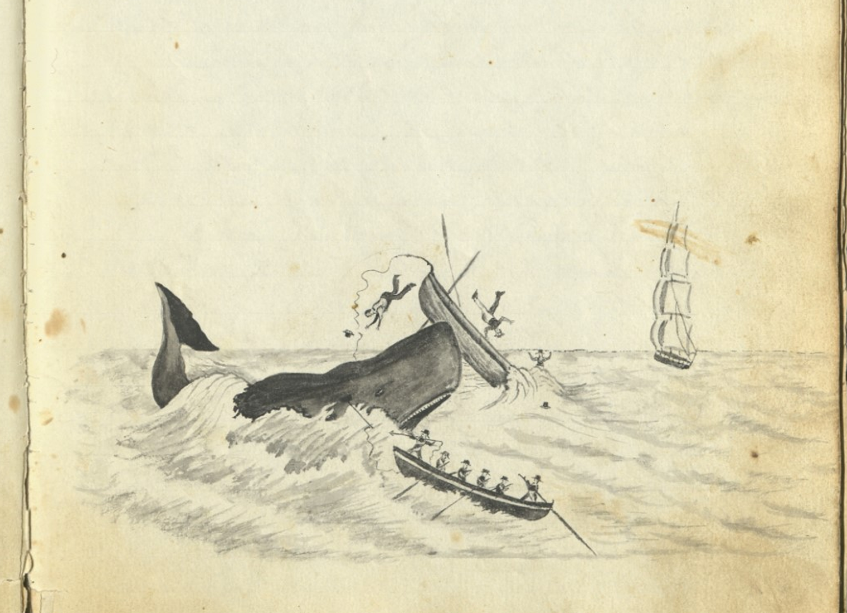 Many logs in the Nantucket Historical Association's collection include stomach-churning drawings, like this detail from Milo Calkin’s travel memoir.