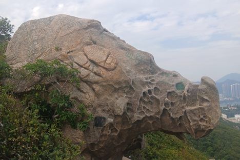 Rhino Rock