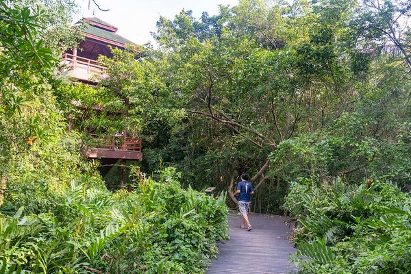 This island offers a reprieve from the chaos of downtown Bangkok.