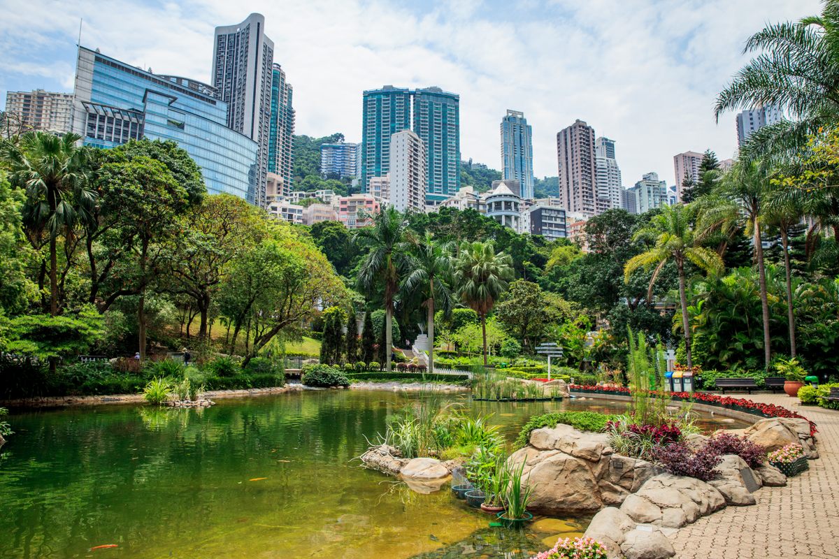 The 20-acre Hong Kong Park is home to cockatoos and other non-native flora and fauna.