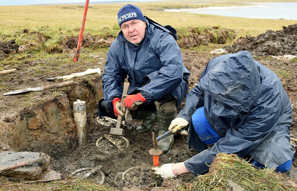 Inspired by Toll's cache, modern food research continues.