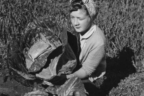 The Farming Colony That Grew Under the Midnight Sun