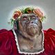 yetistuff profile photo