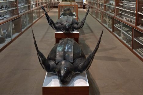 Museo Insular de La Palma (La Palma Island Museum)