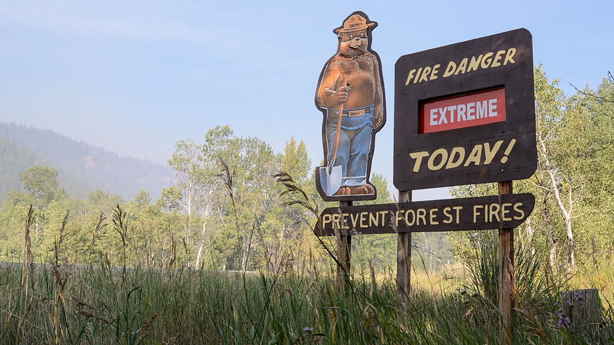 Smokey Bear remains a symbol of forest fire prevention.