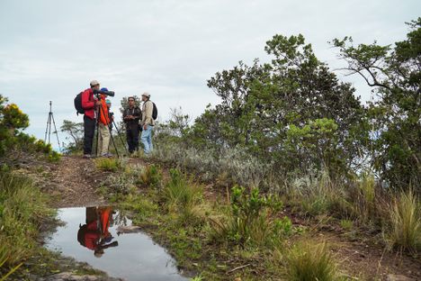 From left, the photographer Jorge "Jota" Arango, the conservationist John Myers, the tourist and birdwatcher Jim Sandor, the Colombian ornithologist Oswaldo Cortes, and the local guide Jose Luis Ropero stand at the top of the Serranía del Perijá mountains.