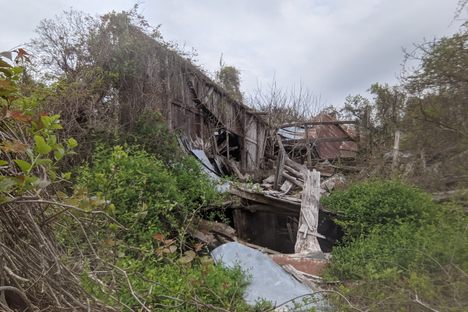 Barn ruins.
