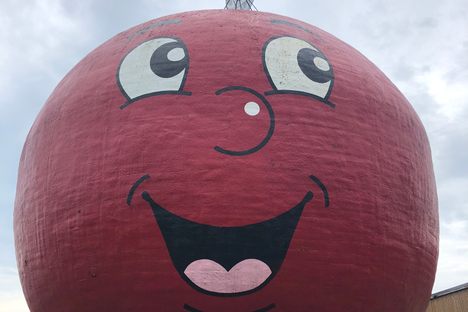 The Big Apple