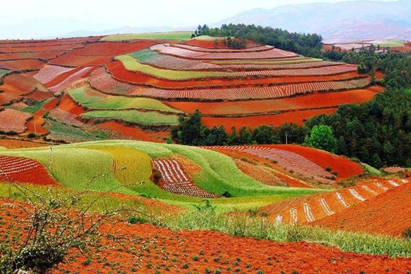 Dongchuan Red Land in China