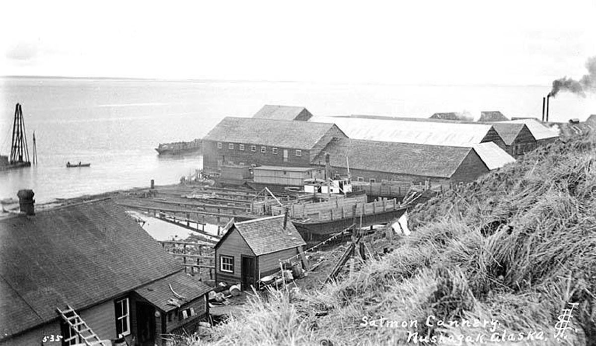 A salmon cannery in Nushagak, 327 miles southwest of Anchorage, ca. 1912.