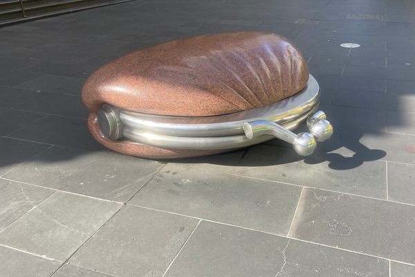 The Public Purse