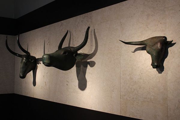The three bulls of Costitx.
