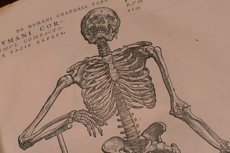 A Close-Up Look at the Most Influential Medical Book of the 16th Century