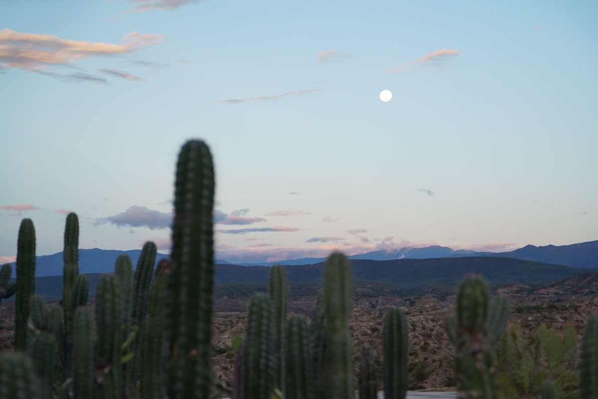 An eerily bright moon shines on a clear night in Tatacoa.