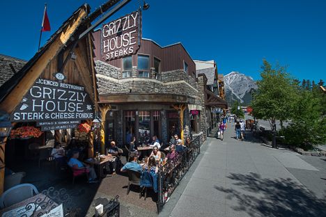 Grizzly House
