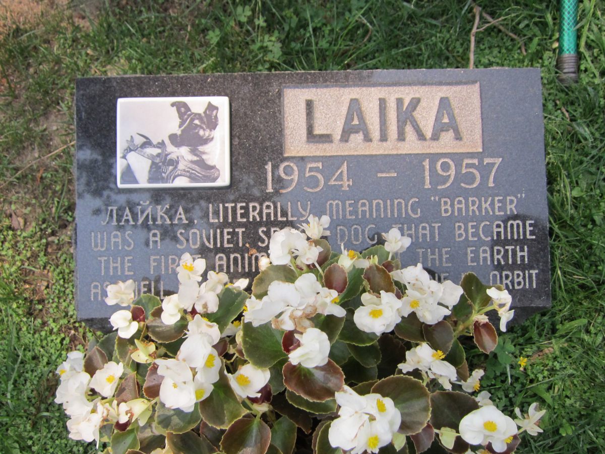 Memorial to the Soviet space dog Laika.