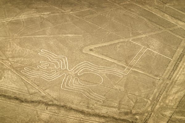 The Spider (Nazca Lines)