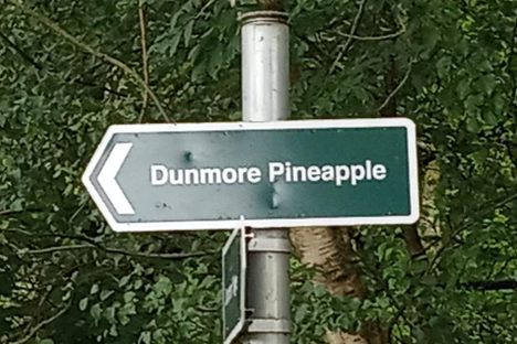 The Dunmore Pineapple House