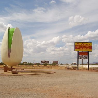 World's Largest Pistachio
