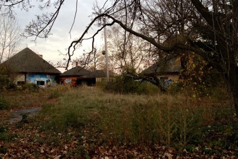 Nature overtaking the park.