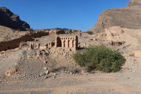 Tanuf