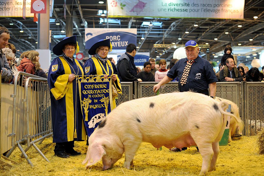 Two members of the Confrérie Gourmande du Cochon de Bayeux celebrate with one of the famous Bayeux pigs. 