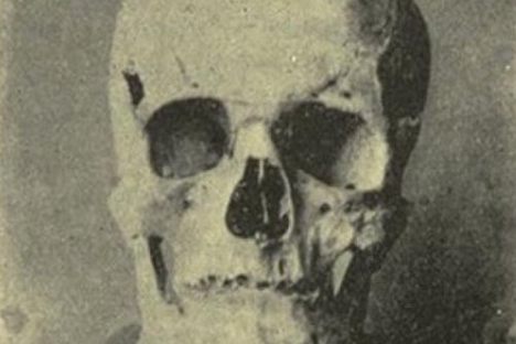 Was an Ancient Egyptian Pharaoh a Giant? 