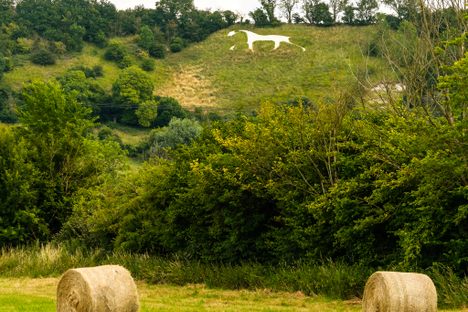 Broad Town White Horse