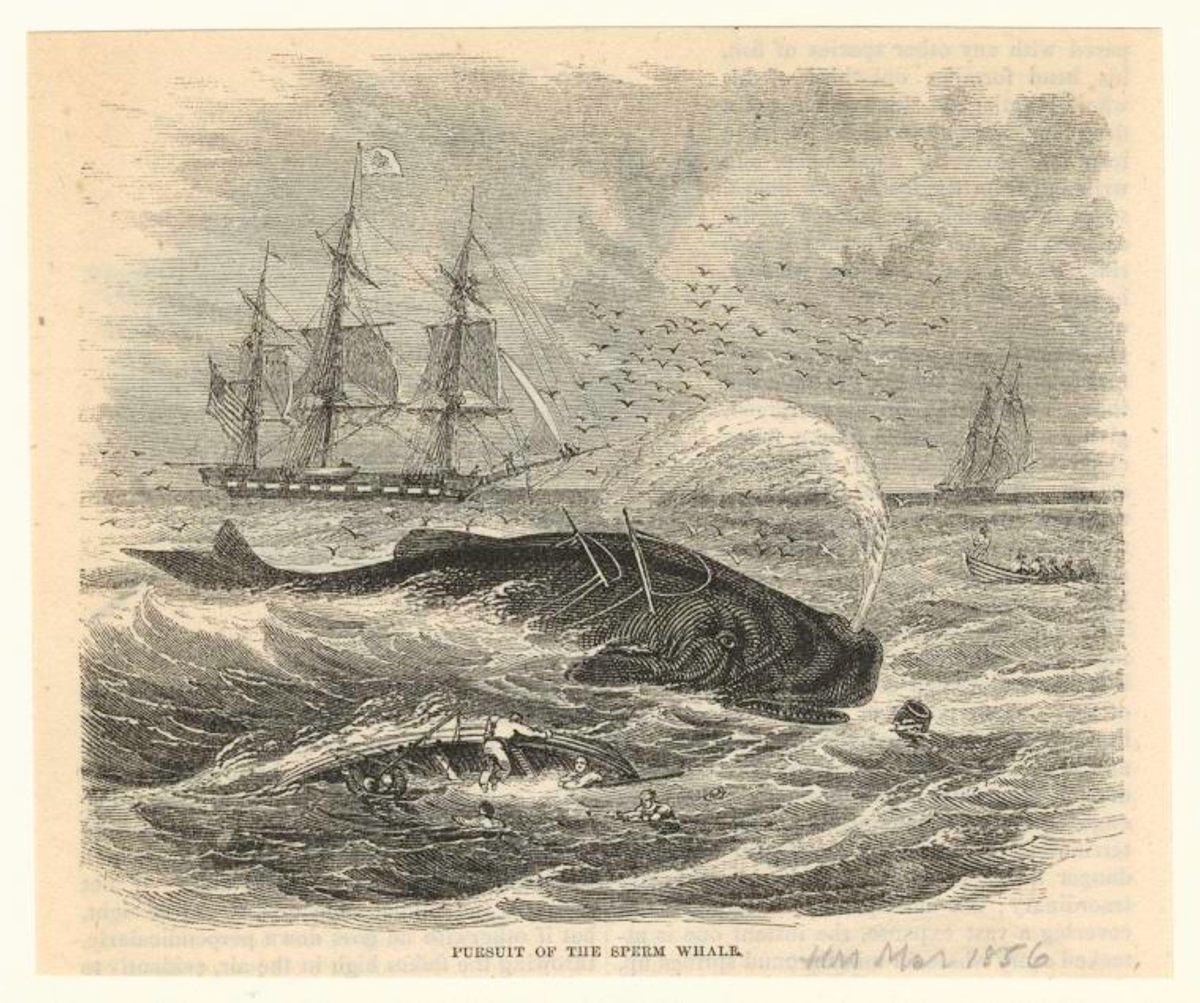 This image ran in <em>Harper's</em> magazine just a few years after <em>Moby-Dick</em> was published.
