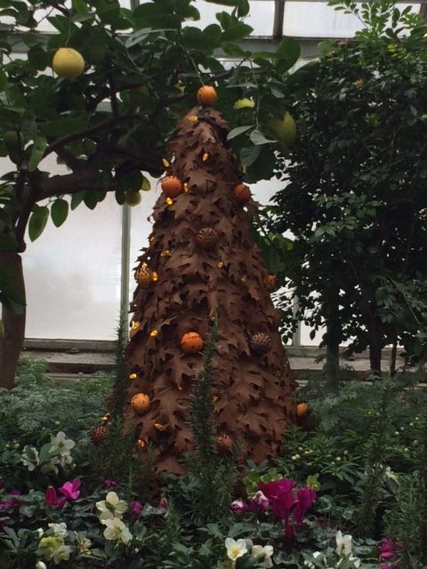 Pomanders hang from this long-lasting tree made from dried leaves.