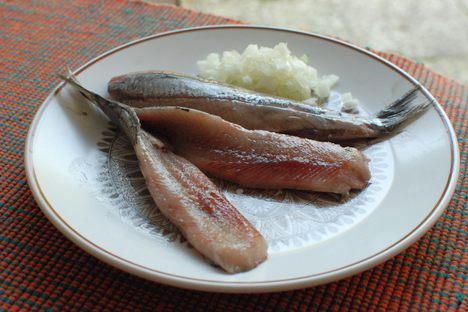 Soused herring with onion