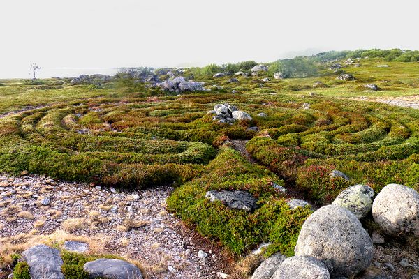 A stone labyrinth on Bolshoi Zayatsky Island.