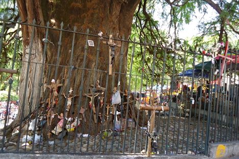 Offerings on the tree's trunk and fence