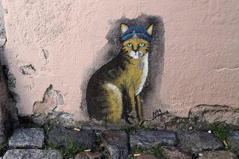 Norderstraße Cat Scavenger Hunt