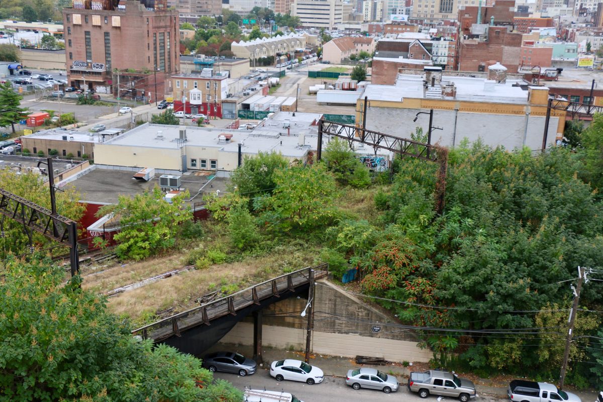 A wild section of the Rail Park.