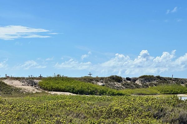 The Aruba Pet Cemetery