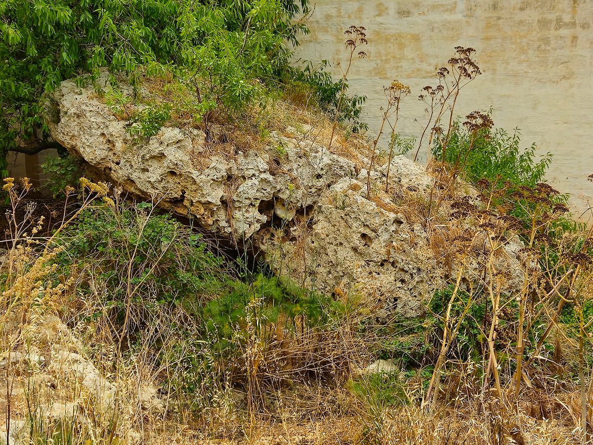 Sansuna’s Rock