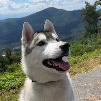 Profile image for makoyumi
