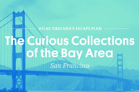 Escape Plan SF: The Curious Collections of the Bay Area