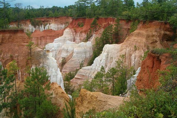 Part of Providence Canyon from rim near entrance road