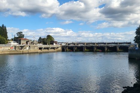Fish locks from a distance (October 2024)