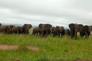 Photo of Uganda