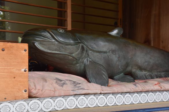 Namazu-San, the Lucky Catfish